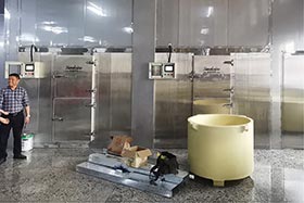 2臺日產(chǎn)10噸片冰機(jī)，湛江食品加工