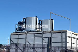 南非海鮮水產(chǎn)保鮮，2臺日產(chǎn)30噸片冰機(jī)